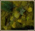/album/fotogalerie/dsc-0149-jpg/